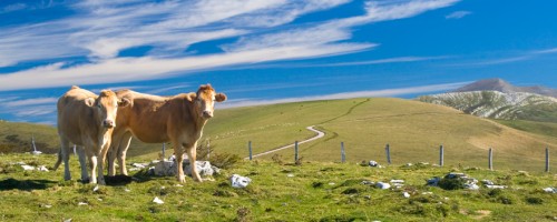 turismo-rural-navarra